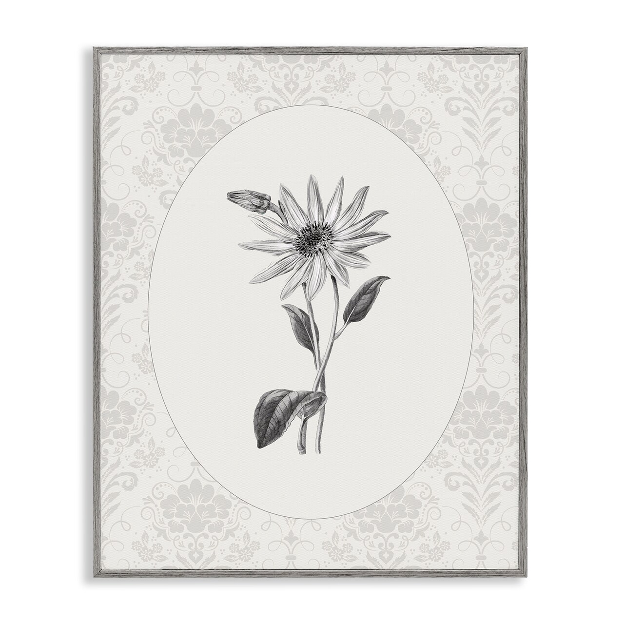 Stupell Industries Antique Botanical & Lace Framed Giclee, design by CAD Designs